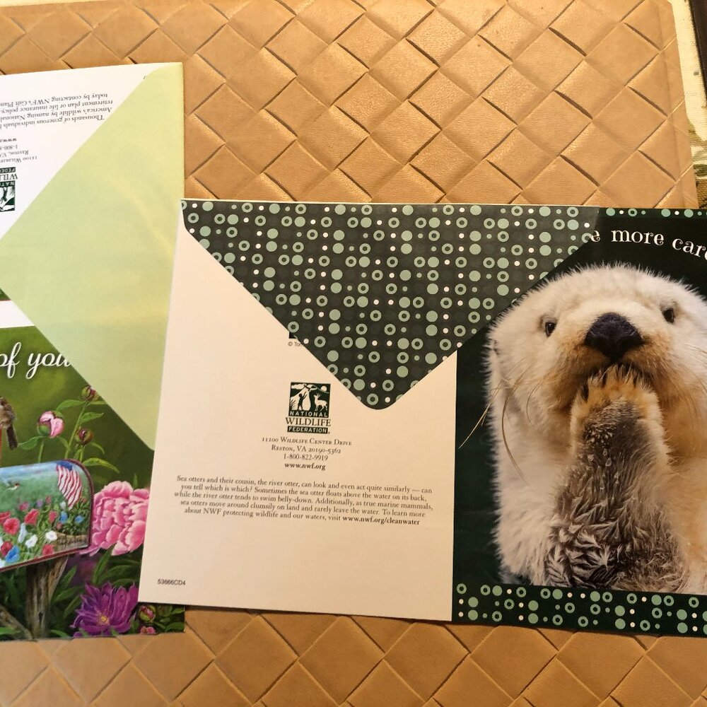 National Wild Life Association Lot of 14 Nature Assorted Cards with Envelopes - Picture 11 of 11